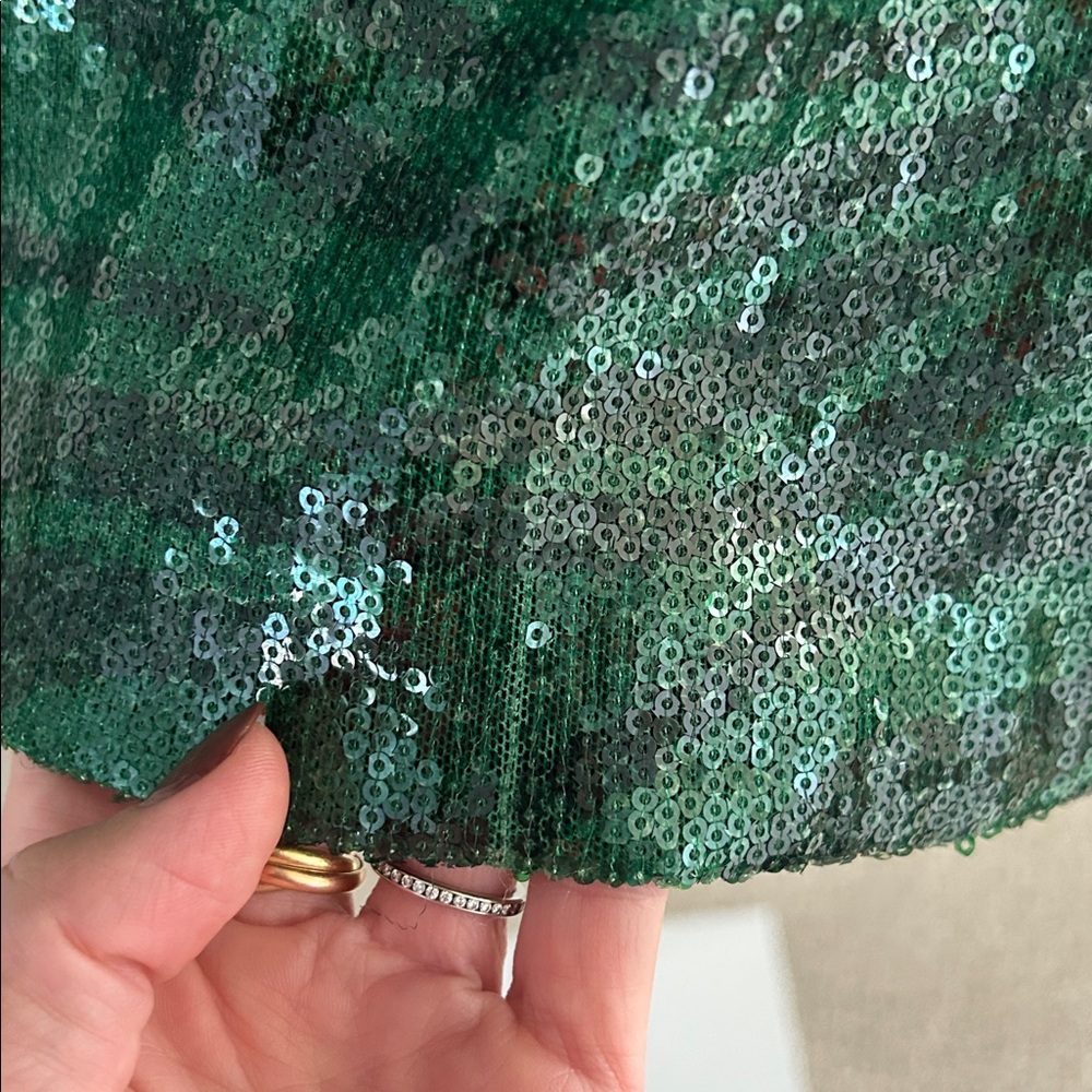 The Wolf Gang Brillo Sequin Dress, RTR - Picture 11 of 12